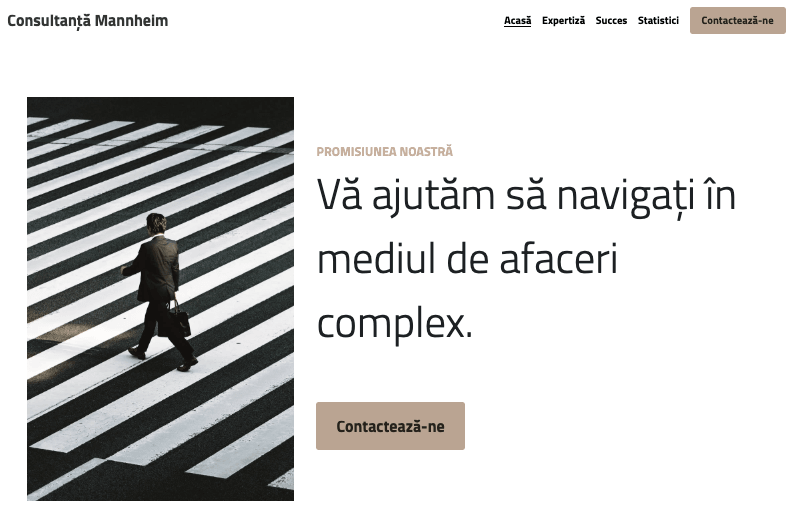 Șablonul Mannheim de la Strikingly