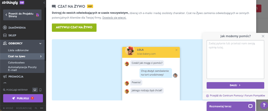 Jak Strikingly Może Pomóc Wzrostowi Firmy Hurtowej - Wsparcie Klienta