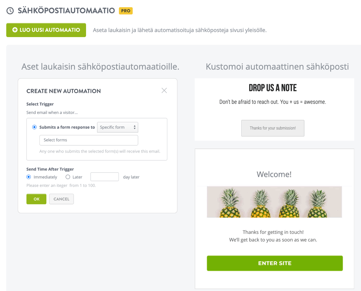 Strikinglyn Sähköpostiautomaatio ominaisuus