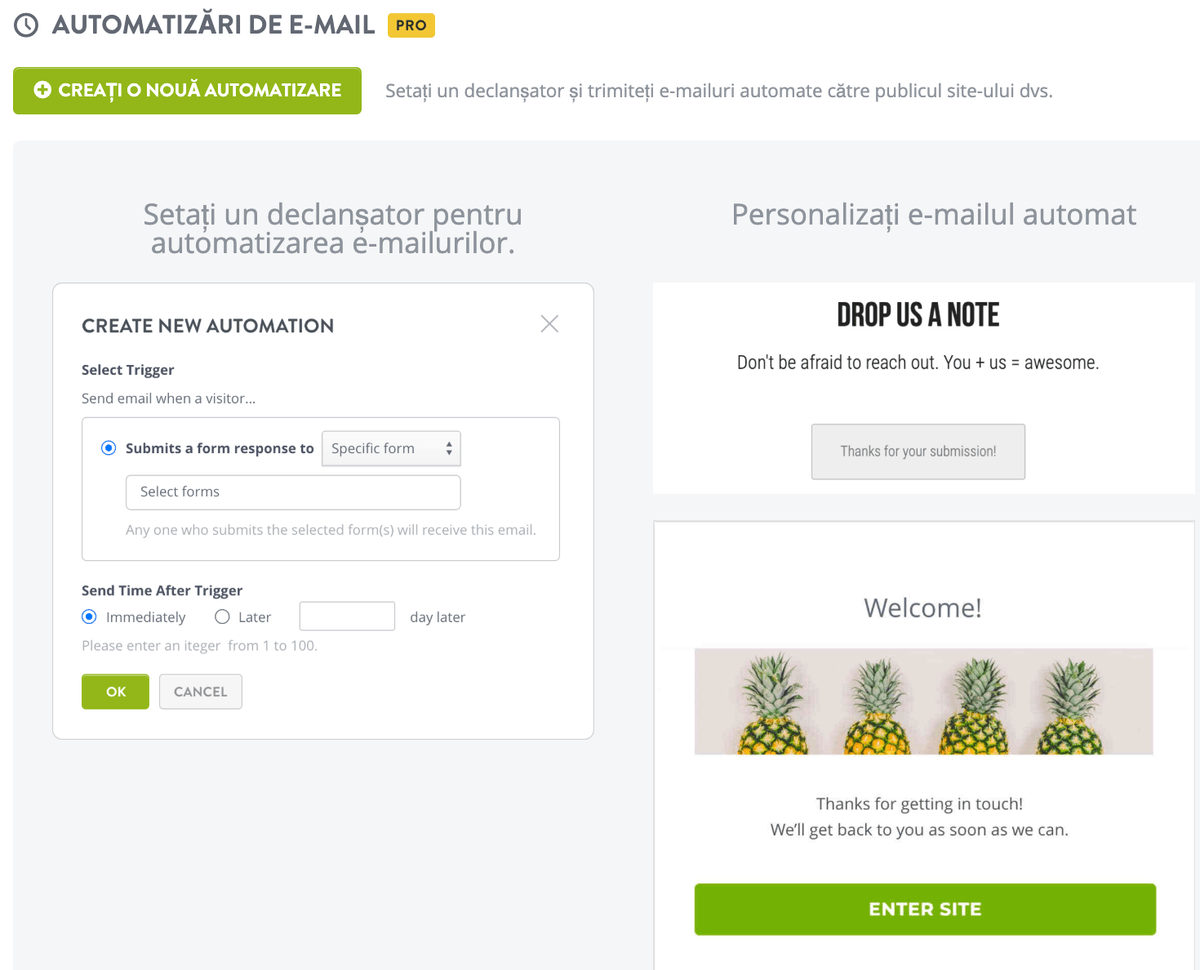 Deciderea dacă email marketingul este potrivit pentru dvs.