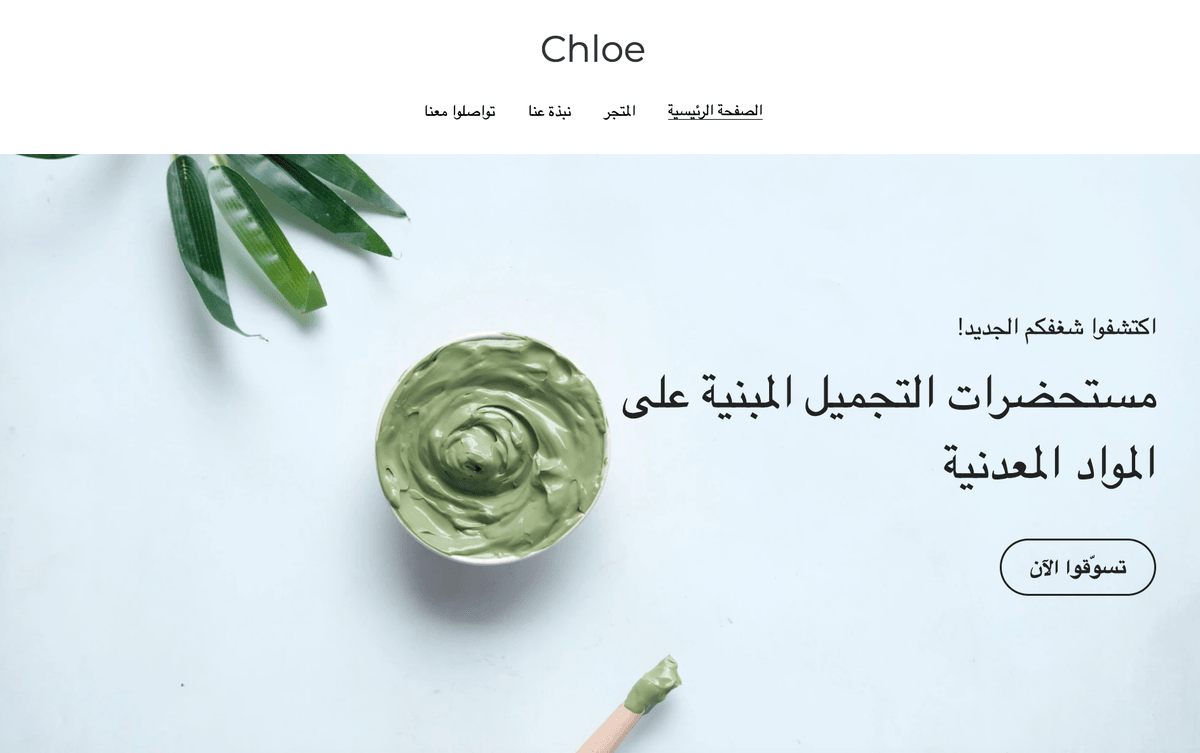 قالب Chloe من Strikingly