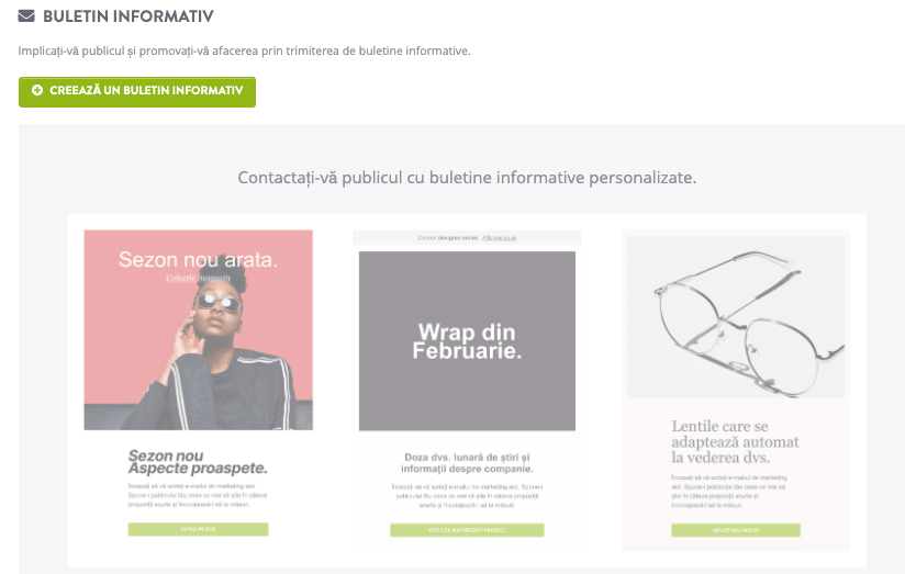 Funcția de newsletter Strikingly