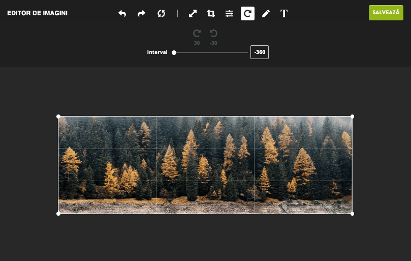 Folosind la maximum software-ul gratuit de editare foto de la Strikingly