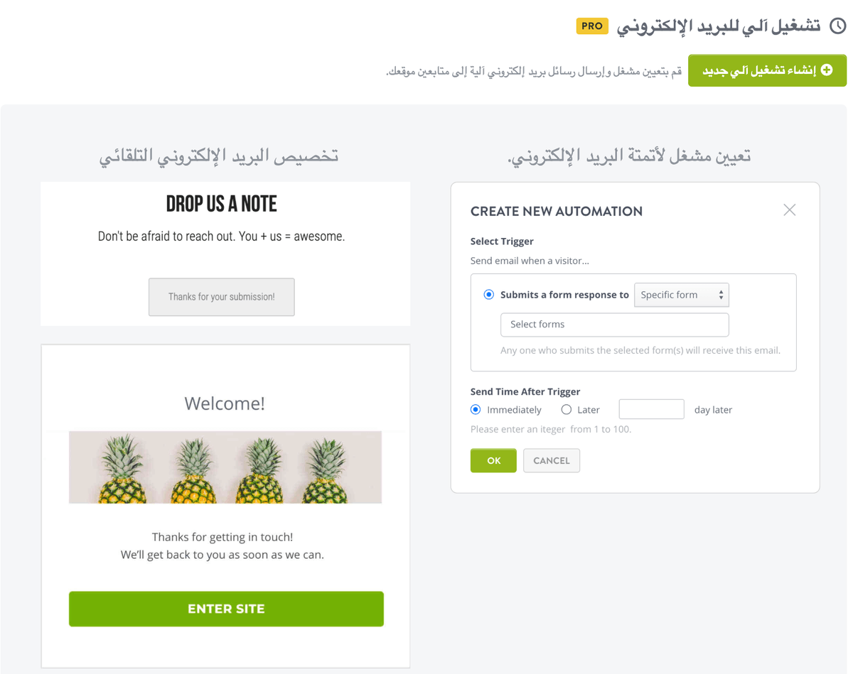 تحديد ما إذا كان التسويق عبر البريد الإلكتروني مناسبًا لك