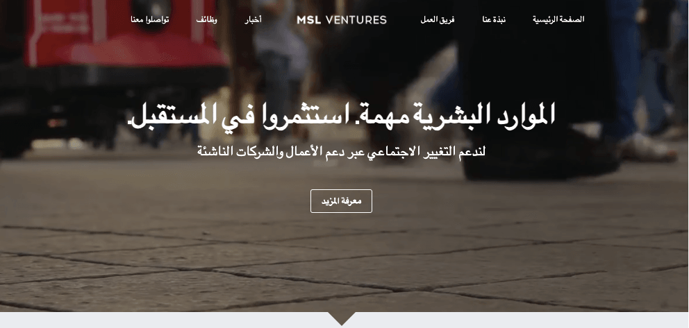 MSL Ventures من Strikingly