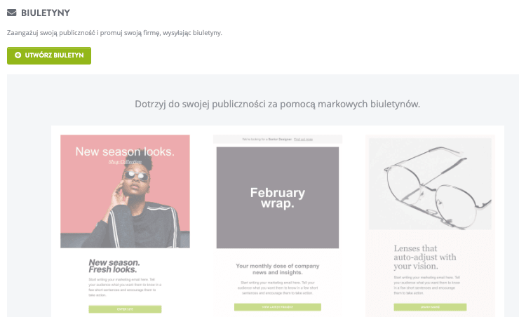 Funkcja Newslettera Strikingly