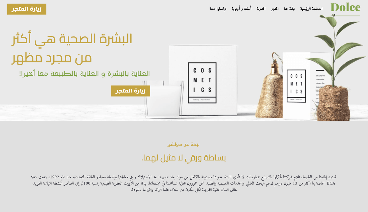 الاختلافات الرئيسية بين الأعمال التجارية الصغيرة والأعمال التجارية الصغيرة