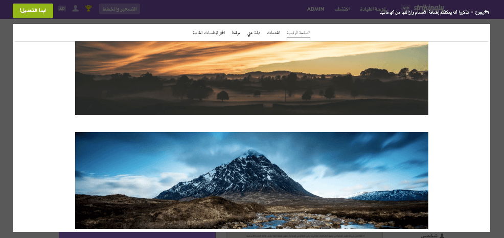 تقنيات متقدمة مع أدوات تصميم الويب - خيارات التخصيص مع Strikingly