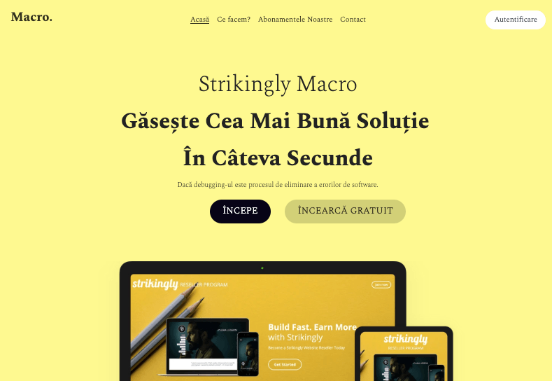 Șablon Macro de la Strikingly