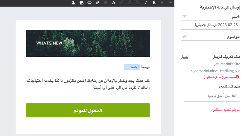 قالب النشرة الإخبارية من Strikingly