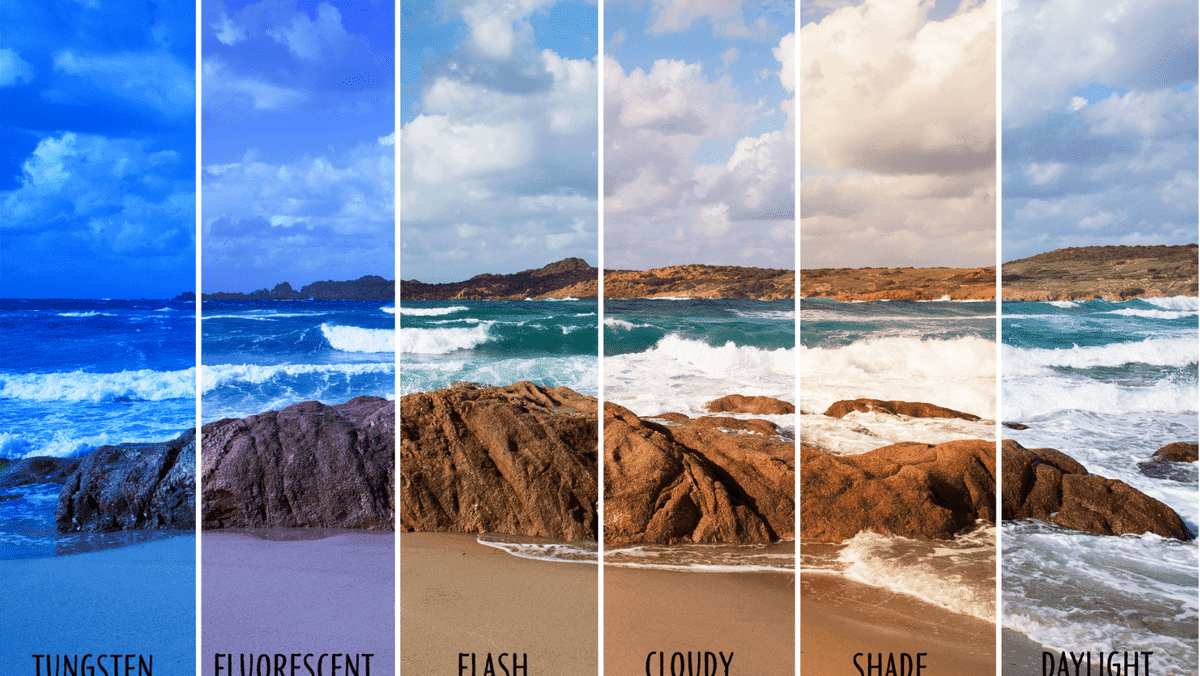 Mejore el rendimiento de su sitio web con alojamiento de imágenes