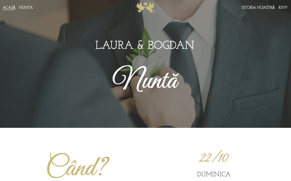 Șablon de nuntă Laura & Bryan de la Strikingly