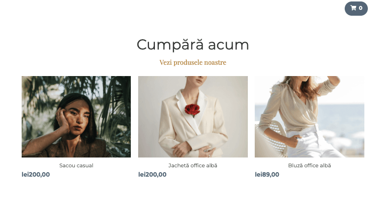 Șablon de magazin Perspective