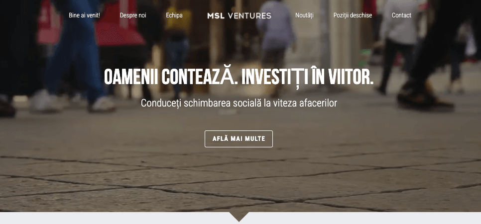 Template MSL Ventures de la Strikingly