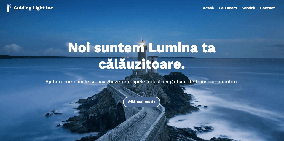 Zine: șablon de servicii profesionale de la Strikingly