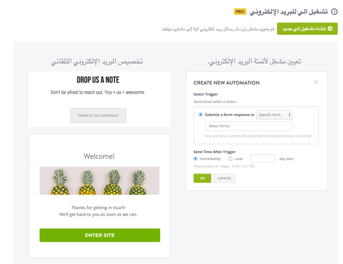 ميزة أتمتة البريد الإلكتروني في Strikingly