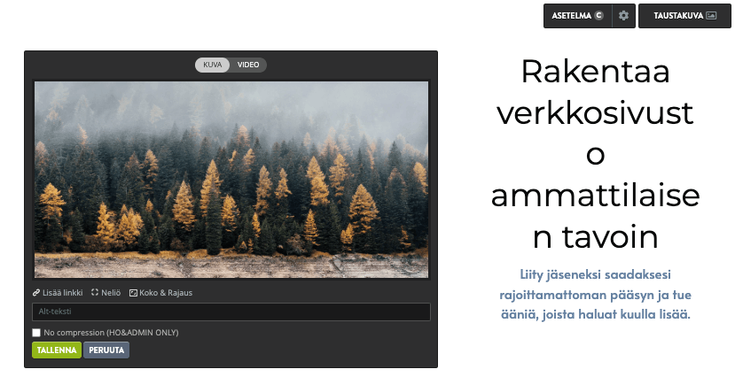 Kuva on peräisin Strikinglyltä