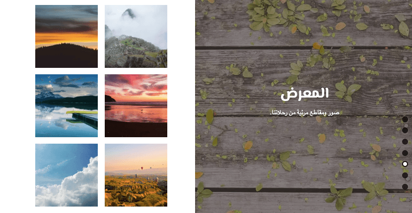 قالب منظور من Strikingly