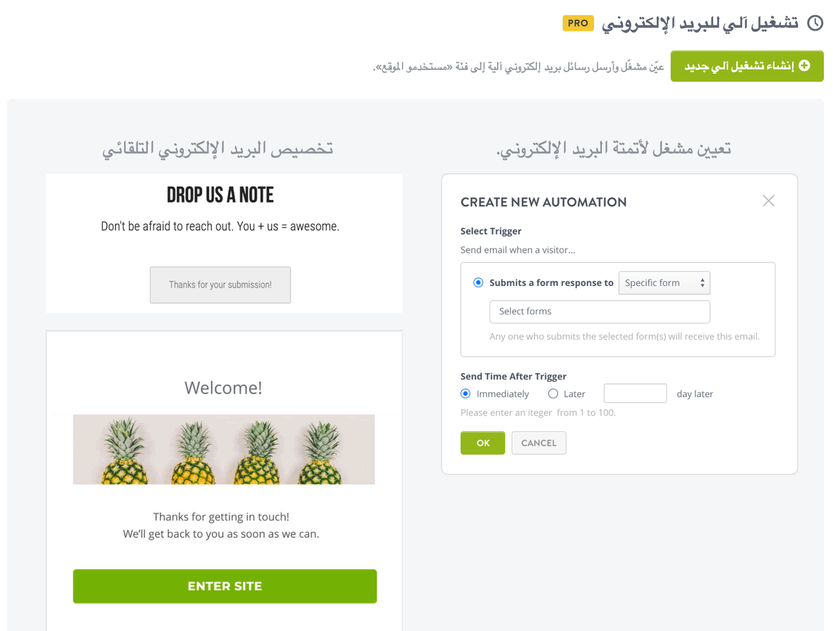 ميزات أتمتة البريد الإلكتروني في Strikingly