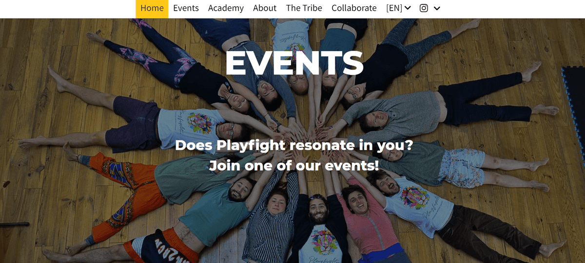 Constructor de site-uri web pentru membri Playfight