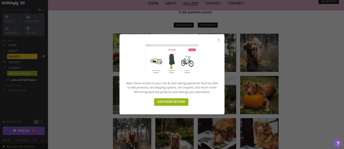Jak założyć biznes online ze Strikingly – skonfiguruj funkcje e-commerce