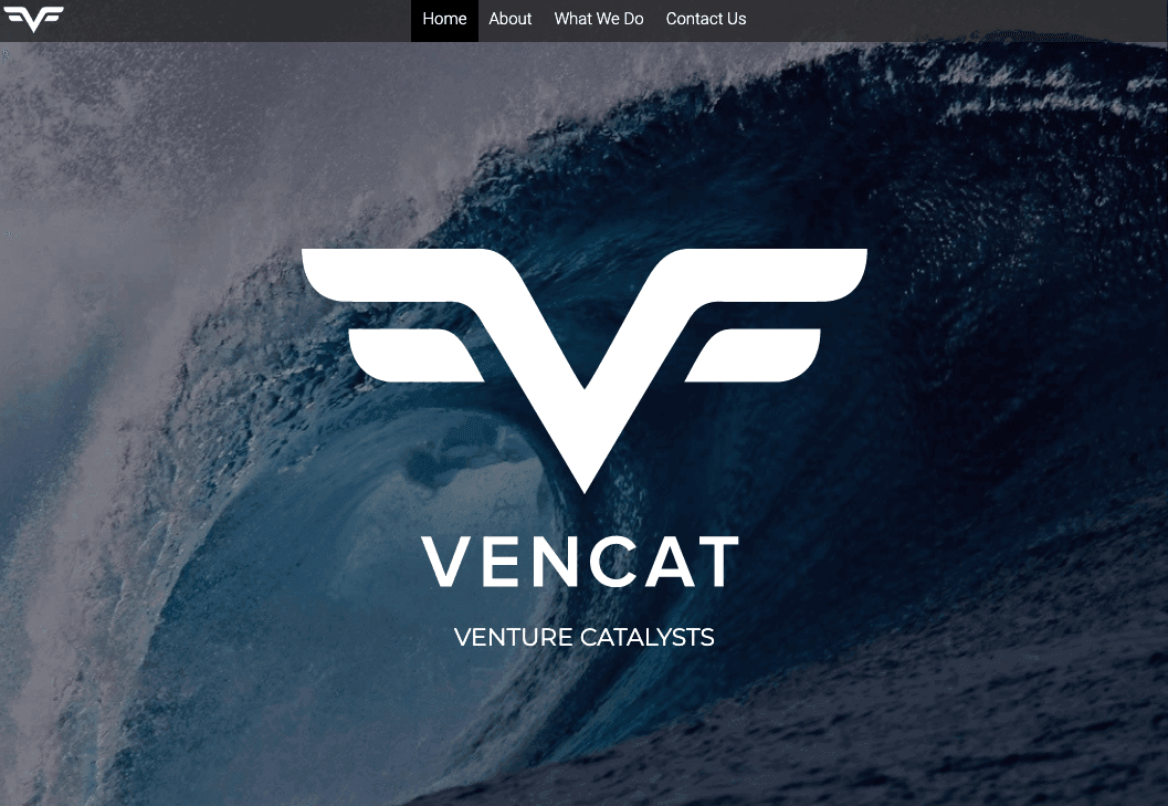 صورة مأخوذة من موقع مستخدم Strikingly - VenCat