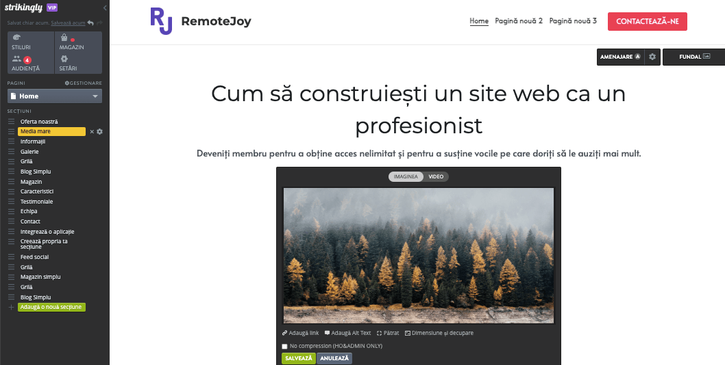 Cum adăugați artă vectorială pe un site Strikingly - ajustați dimensiunea și poziția