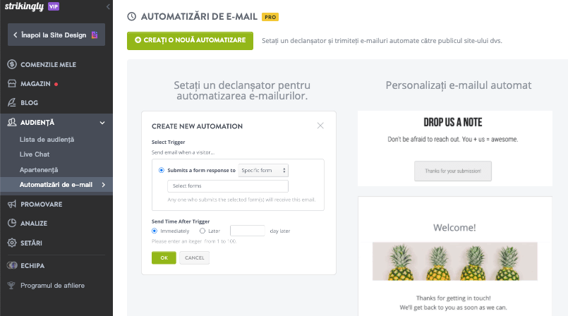 Personalizarea e-mailurilor cu Strikingly - E-mailuri tranzacționale