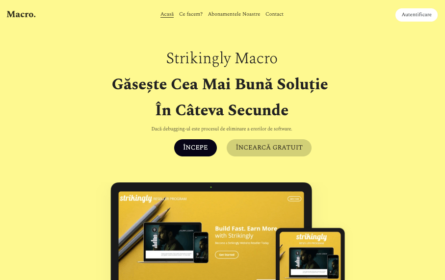 Șablon Macro de la Strikingly