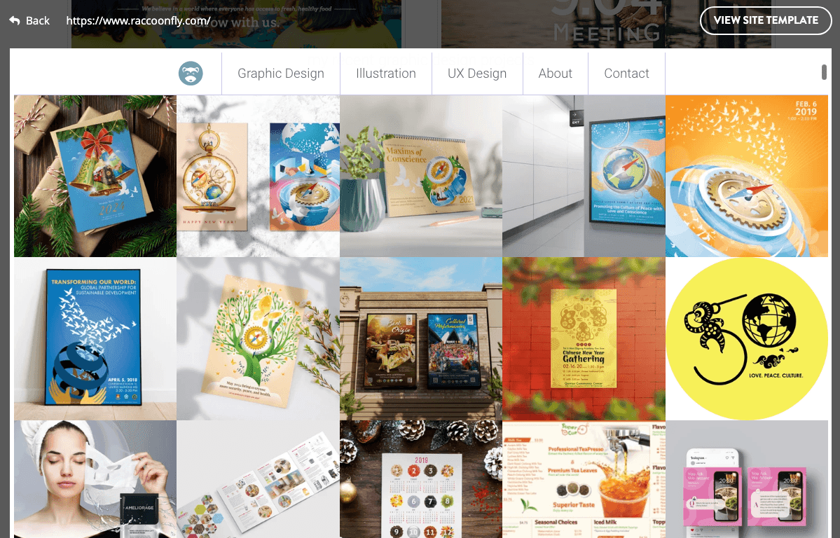 الامتدادات الشائعة للنطاقات