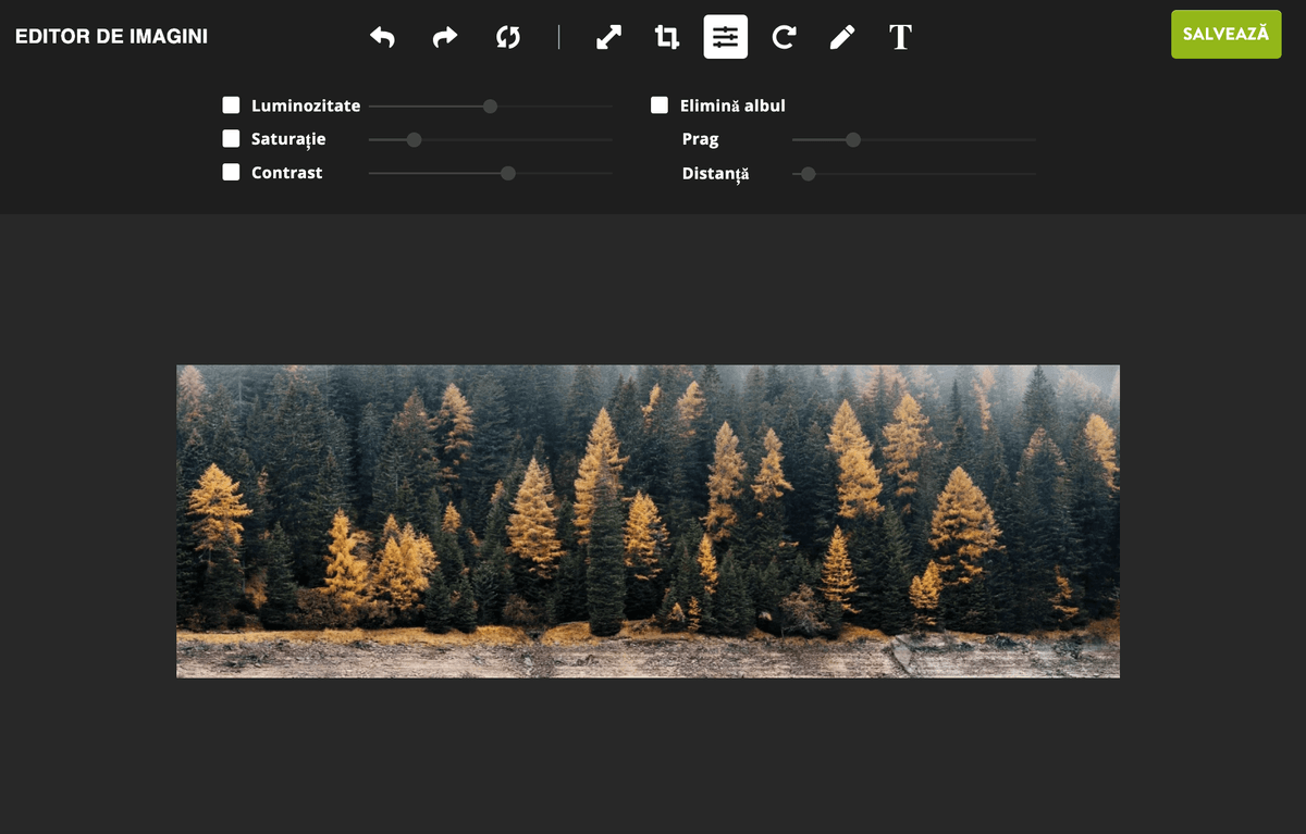 Editor de imagini Strikingly