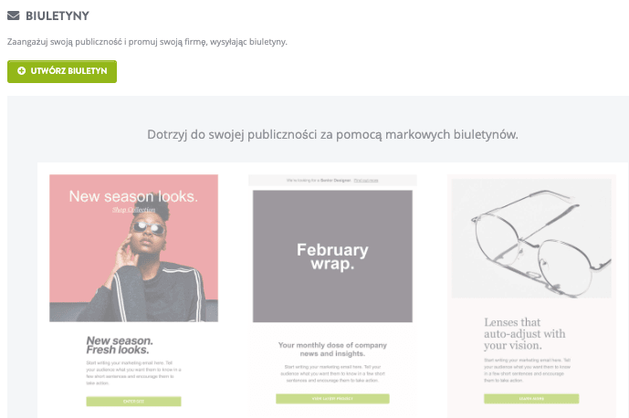 Funkcja Newslettera Strikingly