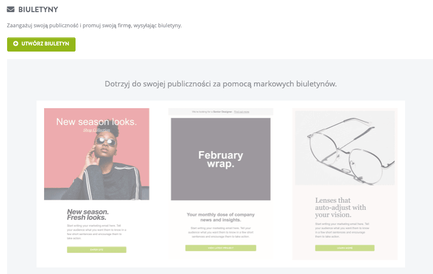 Strikingly Biuletyn dla marketingu e-mailowego