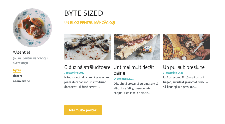 Șablon de dimensiuni reduse de la Strikingly