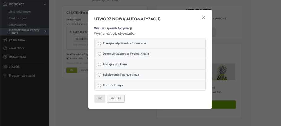 Jak wykorzystać persony kupujących w kampaniach e-mailowych segmentowanych w Strikingly