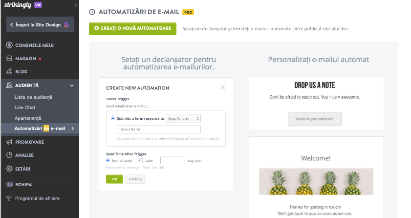 Utilizarea unui Autoresponder pentru Email cu Strikingly - Creați o Campanie de Autoresponder