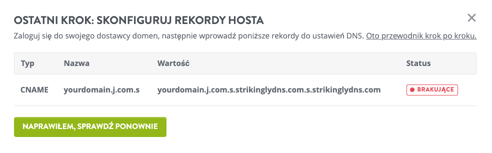 Rekordy DNS Strikingly