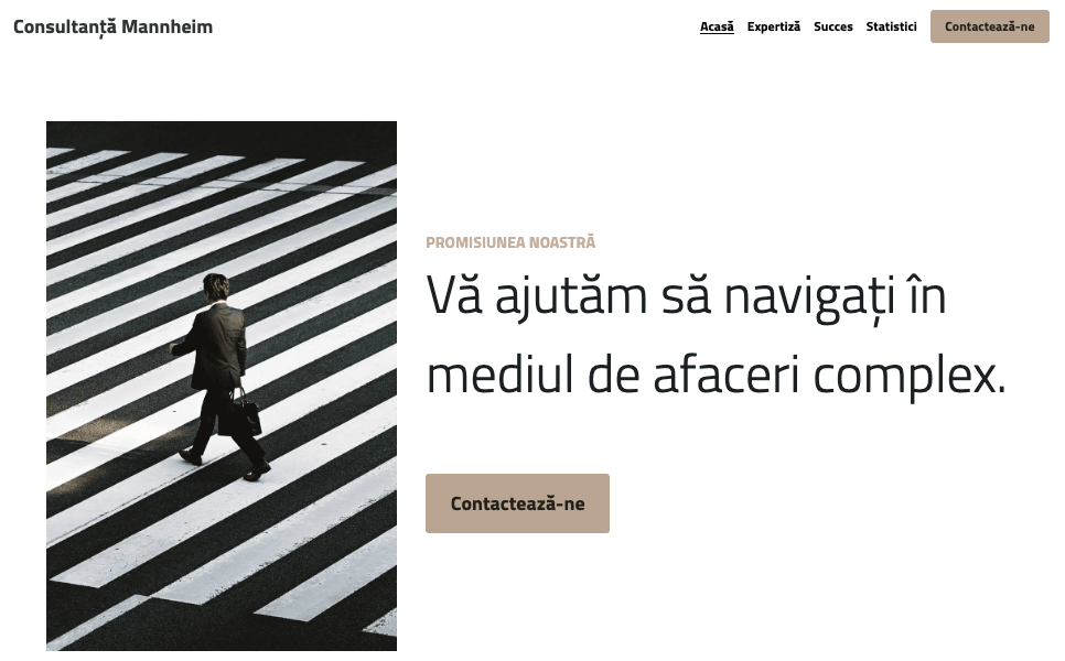 Șablonul Mannheim de la Strikingly