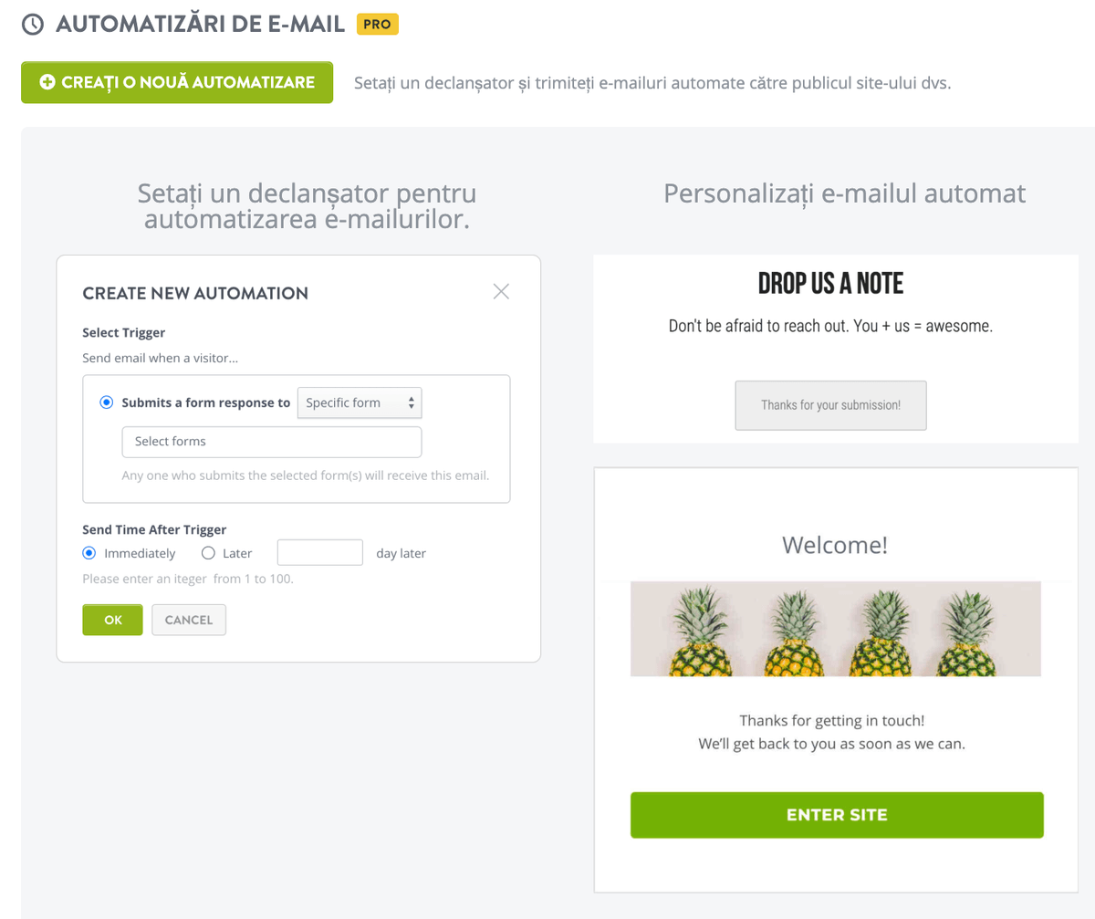 Funcția de automatizare e-mail de la Strikingly