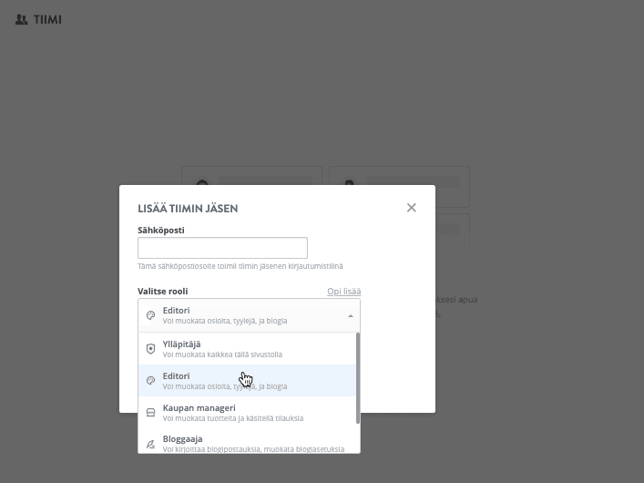 Silmiinpistävän tiimiroolit