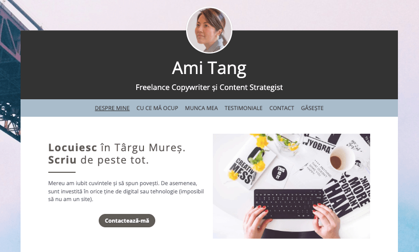 Șablon de profil de la Strikingly