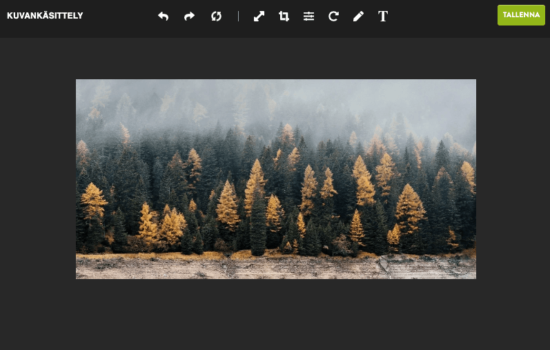 Strikinglyn kuvankäsittelyohjelma