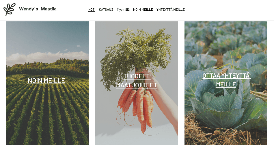 Wendyn Farmi Verkkokaupan Malli
