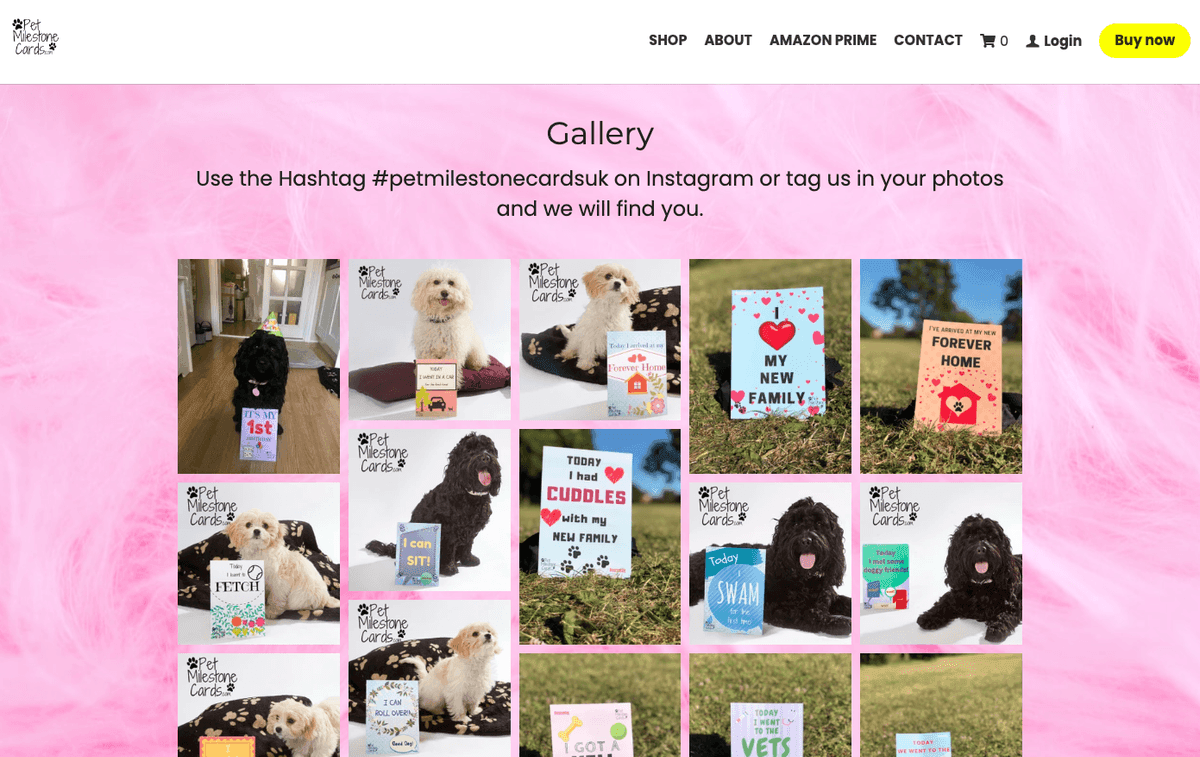 Imagine luată de pe site-ul unui utilizator Strikingly - Cartonașe pentru momente importante ale animalelor de companie