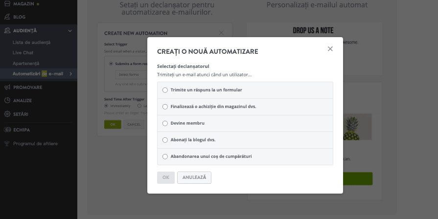 Utilizarea răspunsului automat la e-mail cu Strikingly - Setați declanșatoarele în Strikingly