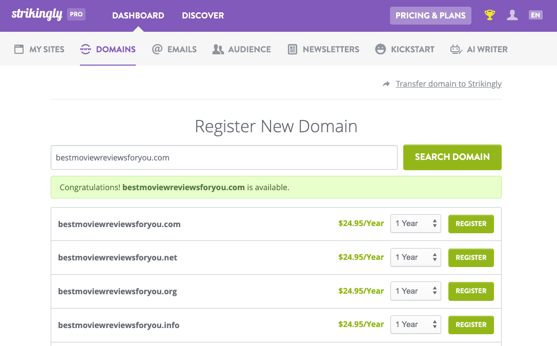 Strikingly Domain Register -sivu