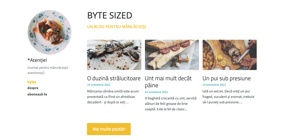 Șablon de blog de dimensiuni mici de la Strikingly