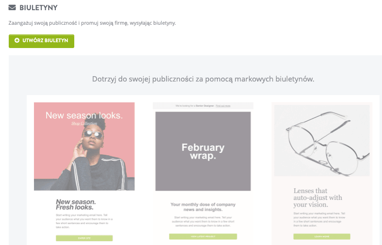 Funkcja Newslettera Strikingly