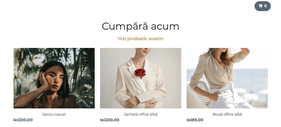 Șablon de magazin perspective