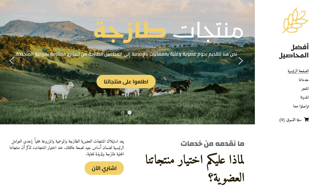 أحدث قالب رائع من Strikingly
